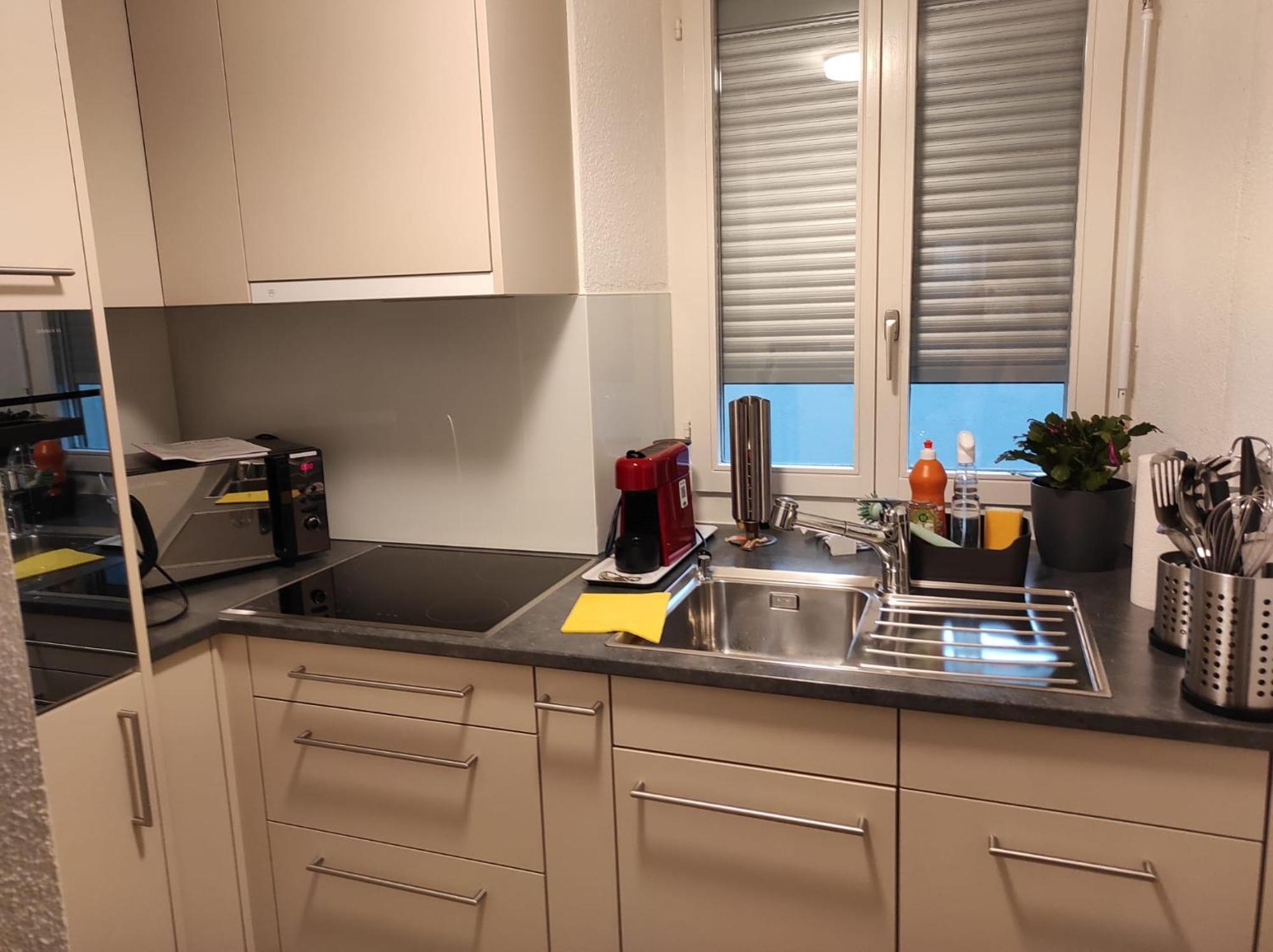 Bastis Family Apartment ルツェルン エクステリア 写真